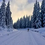 Azyl W Szklarskiej Porebie Lägenhet *